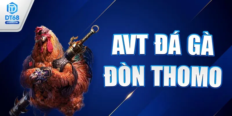 AVT Đá gà đòn Thomo DT68