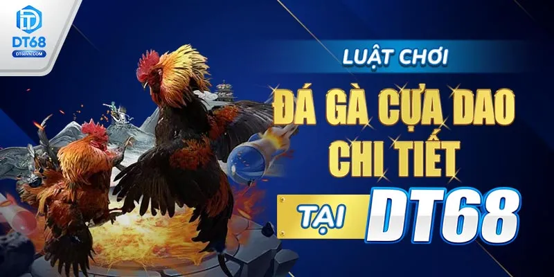 Luật chơi Đá gà cựa dao chi tiết tại DT68. 