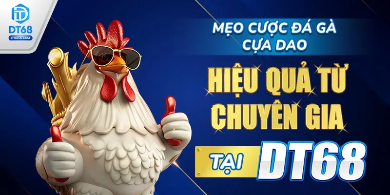 Mẹo cược Đá gà cựa dao hiệu quả từ chuyên gia DT68. 
