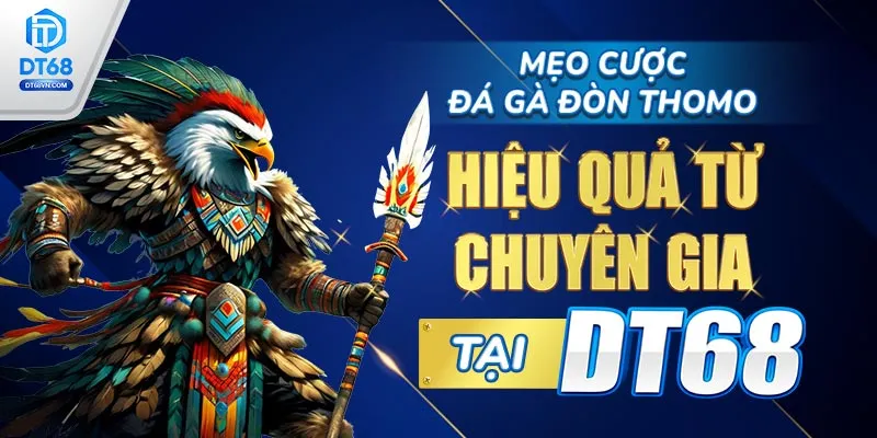 Mẹo cược Đá gà đòn Thomo hiệu quả từ chuyên gia DT68. 