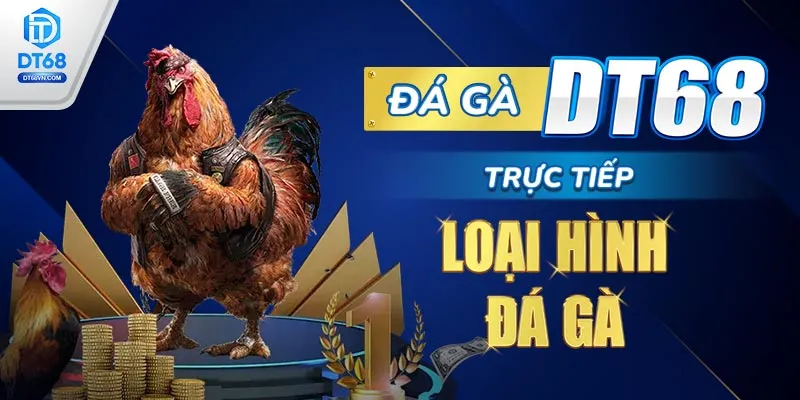 Đá gà DT68 – Trực tiếp những trận đấu đỉnh cao